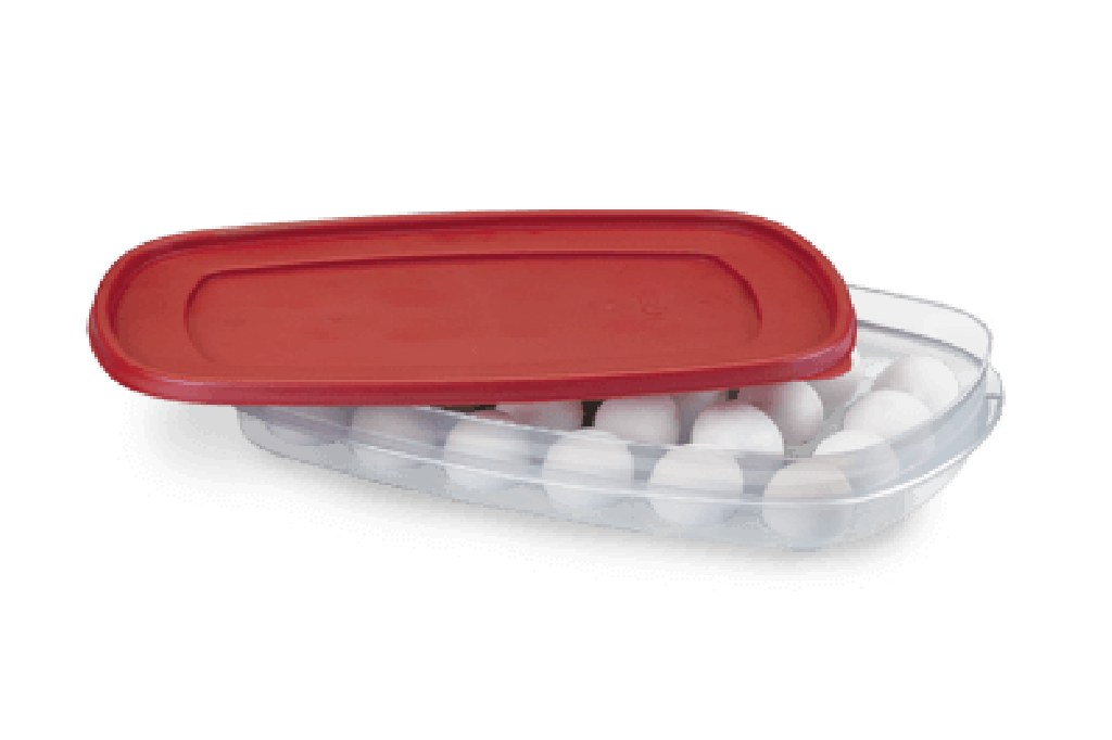 PLEION - PORTA OVOS HERMETICO (0350) - UN (FORA DE LINHA)